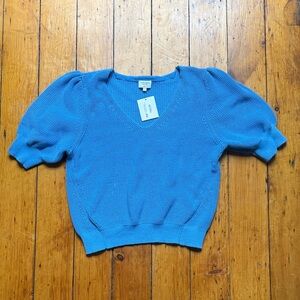 Gentle Fawn V-Neck Sweater in Vibrant Blue